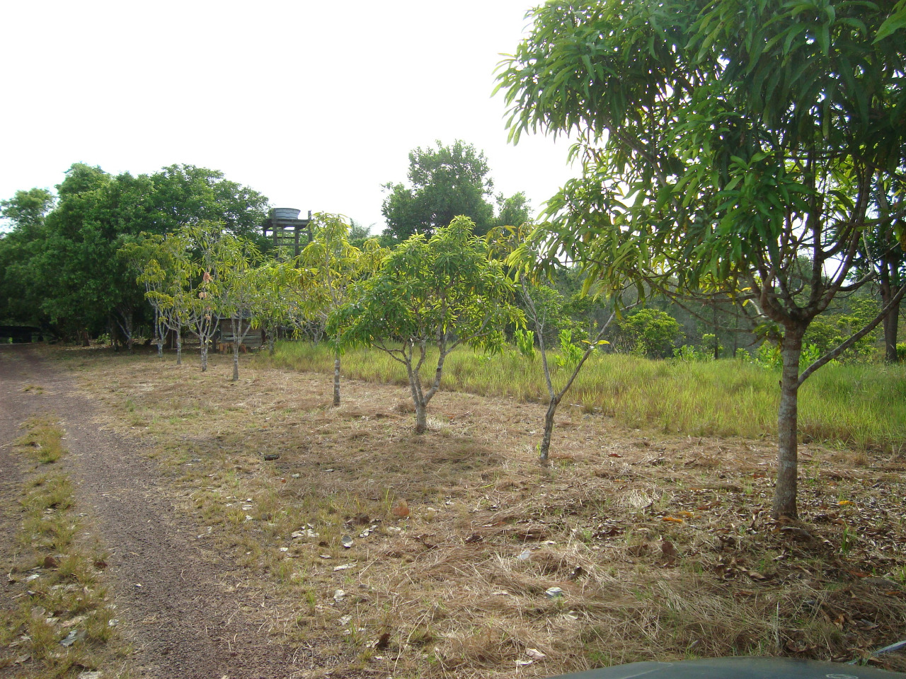 AREA MOSTEIRO — foto 4