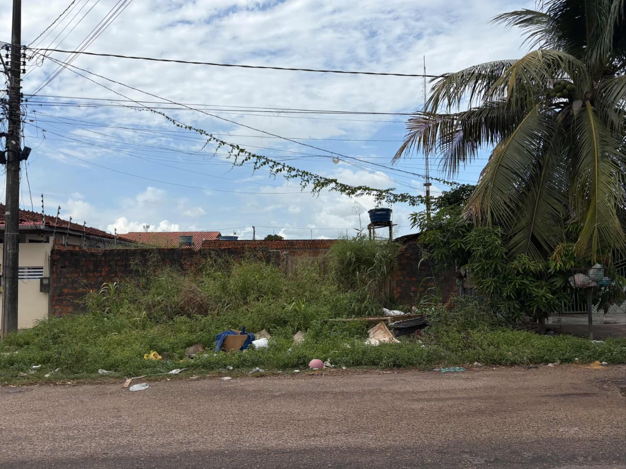 AREA RURAL 34X35MT EM FRENTE A NUTRISERVICE - 300K — foto 4